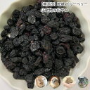 犬 おやつ 小動物のおやつ 無添加 乾燥 ブルーベリー 80g 乾燥 目の健康維持に 砂糖不使用 天然 小動物 うさぎ メール便送料無料【DBP】
