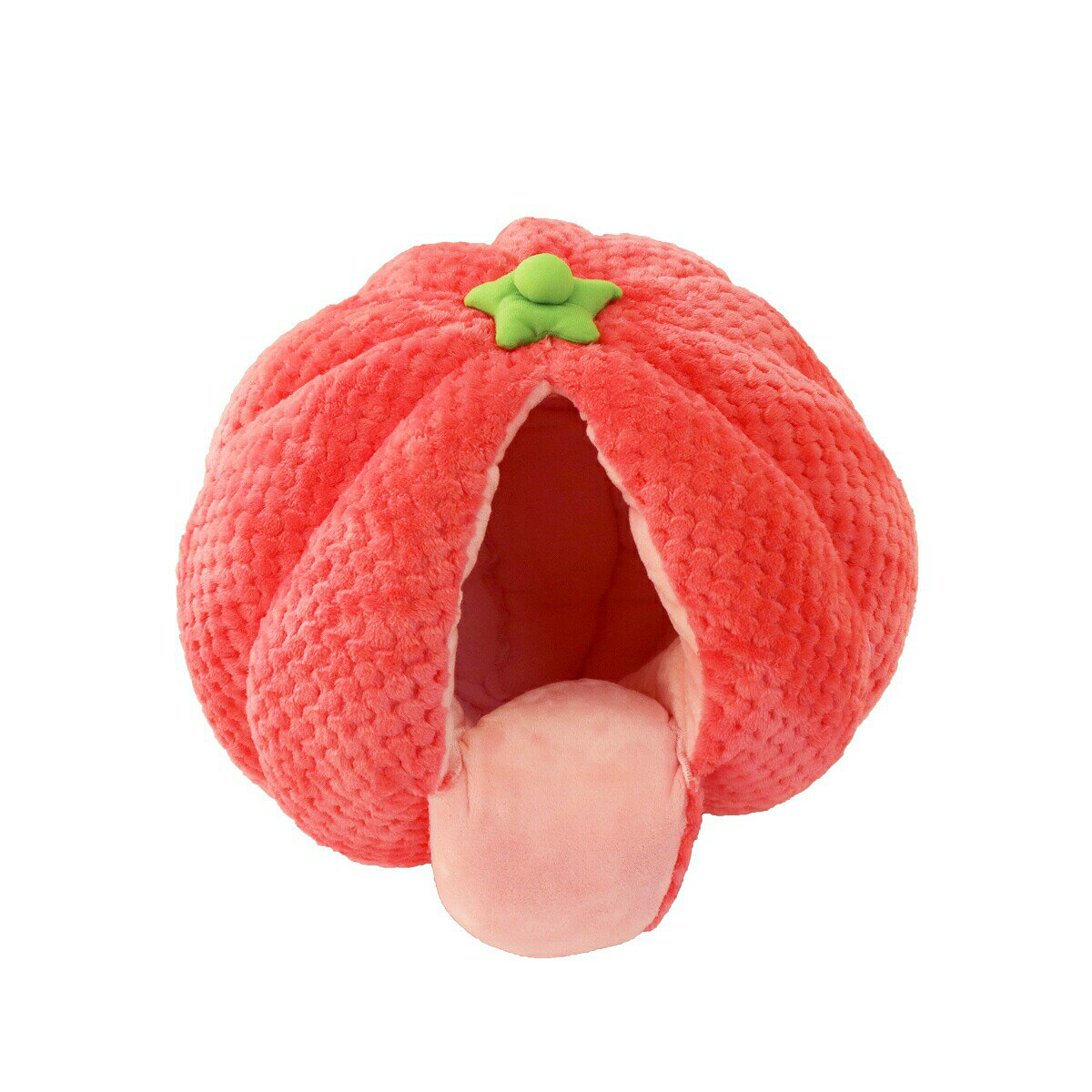 ペッツルート 猫用 ニャンとももぐる実2019 きいちご【T】送料無料