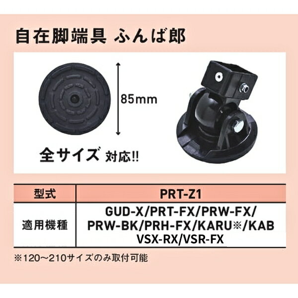 ���륤�� PRTZ1 ���ߵ�ü�� �դ��Ϻ 1�� ���ץ���� ��̳��