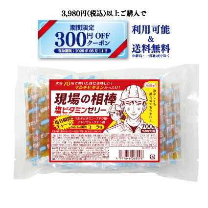 【袋タイプ】共親製菓 現場の相棒塩ビタミンゼリー コーラ味 700g入り（楽天・現場の相棒公式ショップ楽天市場店）