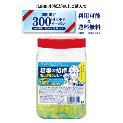 共親製菓 現場の相棒 塩ビタミンゼリー レモン味 1kgボト