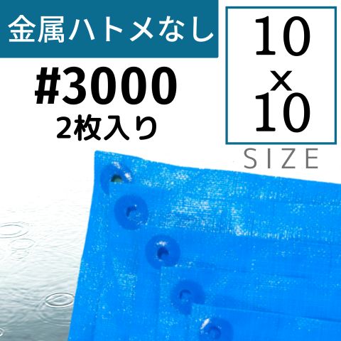 ֥롼 ϥȥ̵ ּ#3000() 1010m 2 ϥȥʤ