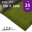 リアリーターフⓇ人工芝ミドル+(パイル長25mm)1m×10m