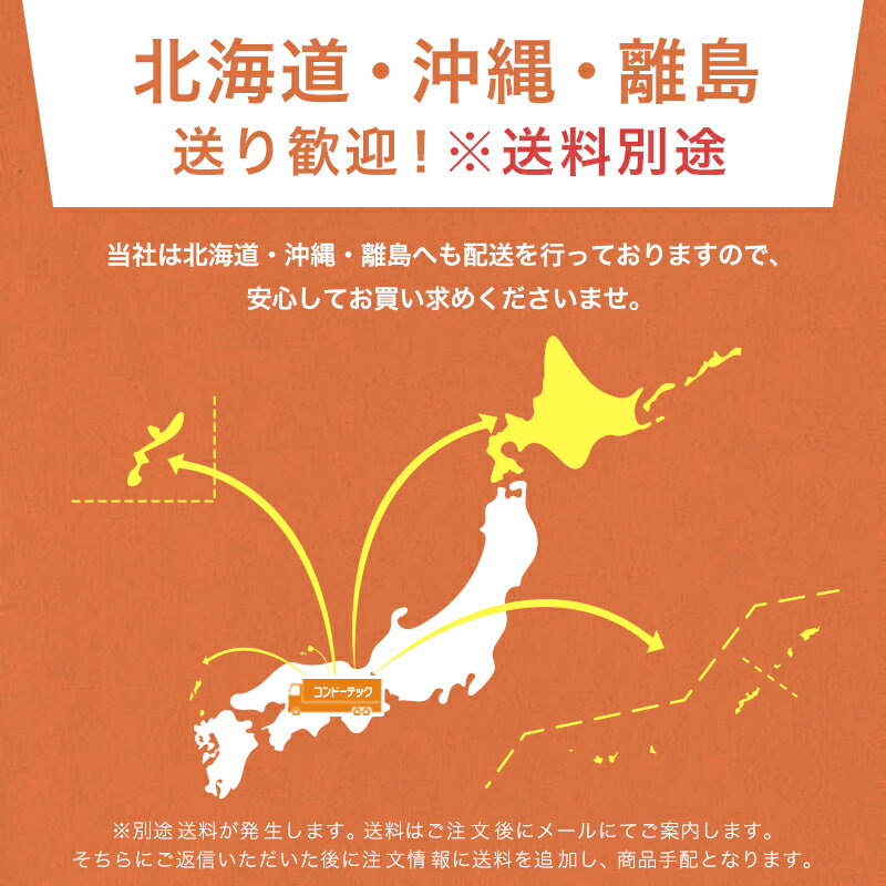 L型 アンカーピン ラスピン Lピン L形 生地 サイズ：13mm×300mm 入数：50 送料無料 コンドーテック 2