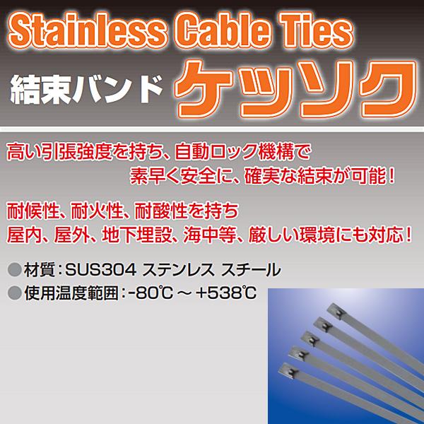 アックスブレーン ステンレス結束バンド ケッソク君 10本 全長520mm AKB-520SS-10 2