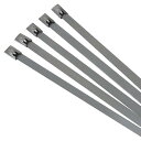 アックスブレーン ステンレス結束バンド ケッソク君 10本 全長680mm AKB-680SS-10(3)
