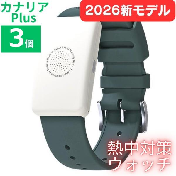 楽天市場】カナリアPlusの通販