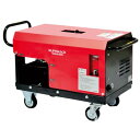 スーパー工業 モーター式高圧洗浄機 200V外部吸水型タンクレスモデル SAR-3005NS2 50Hz