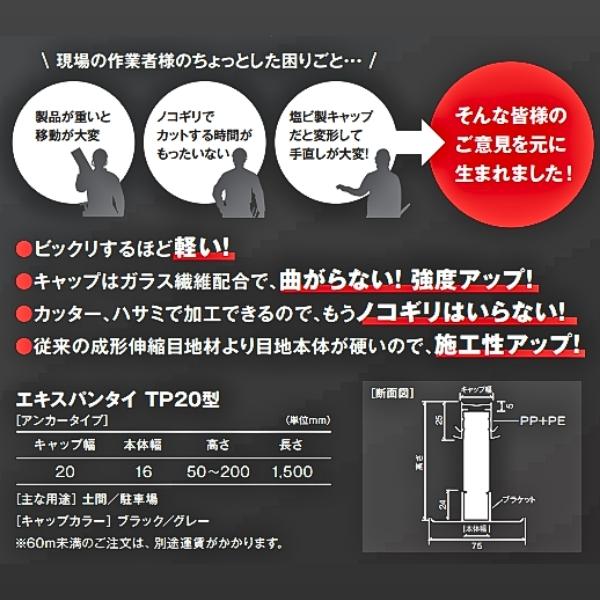 現場にGOのタイセイ エキスパンタイTP20 H100 ブラック アンカータイプ キャップ幅20mm 長さ1500mm 入数1本 駐車場用目地材｜アングル3