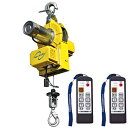 トーヨーコーケン ベビーホイスト BH-E720WR 小型吊下げ式巻上機 定格荷重130kg TKK