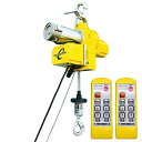 トーヨーコーケン ベビーワインダー BW-E300WR 30m 定格荷重300kg TKK
