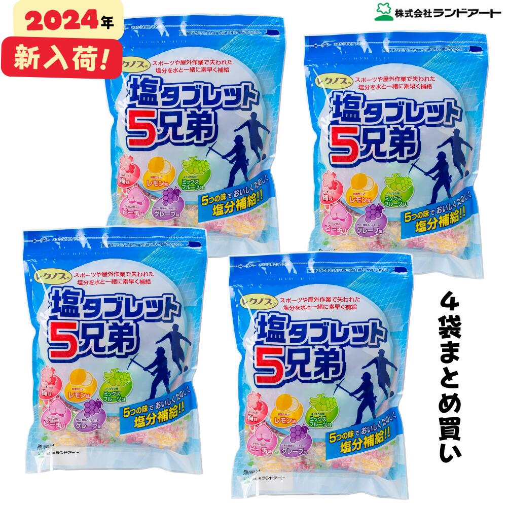 2024年最新入荷 4袋まとめ買い ランドアート 塩タブレット5兄弟 (500g x 4袋入） 塩飴 塩あめ 塩タブレット5兄弟