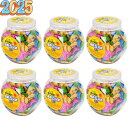 【2025年最新入荷】6ポットまとめ買い ランドアート 塩飴五兄弟ポット (600g 約150粒 x 6ポット) 5種詰め合わせ 塩飴 熱中症対策 塩飴5兄弟 ...