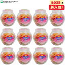 【2025年入荷】1箱12ポットまとめ買い ランドアート 塩タブレット5兄弟ポット (400g 約148粒入)x12ポット 約1776粒 塩タブレット5兄弟