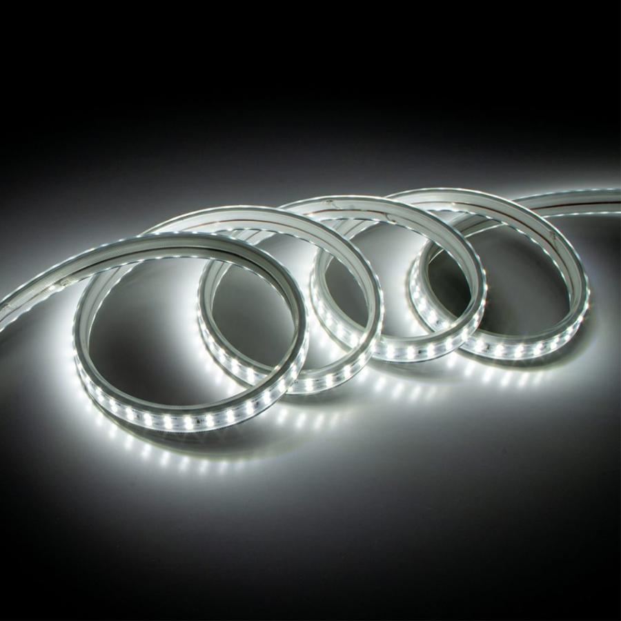 昭和商会 SW24-08 LEDテープライトS 片面発光10m スターターキット 調光器付き リモコン付き SHOWA