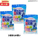 2024年最新入荷 【3袋まとめ買い】 ランドアート 塩タブレット5兄弟 (500g x 3袋入） [塩飴 塩あめ 塩タブレット5兄弟]