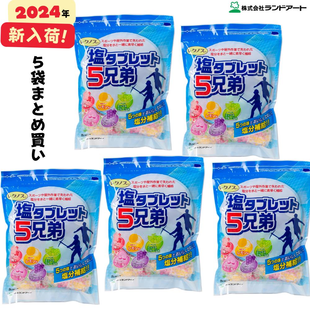 2024年最新入荷【5袋まとめ買い】 ランドアート 塩タブレット5兄弟 (500g x 5袋入） [塩飴 塩あめ 塩タブレット5兄弟]