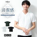 tシャツ メンズ Vネック 半袖tシャツ リンクスジャガード 総柄 Tシャツ おしゃれ インナー 市松柄 vネック トップス キレカジ 白 黒 全3色 6051617 ジェネレス