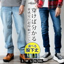 ジャパンブルージーンズ J501 JAPAN BLUE JEANS CIRCLE サークル ジーンズ ボトム デニム ヴィンテージ ルーズストレート 太め 赤耳 セルヴィッチ セルビッチ メンズ 日本製 岡山県 JBJE15013A M-bottom