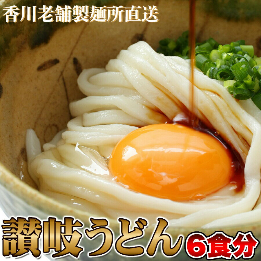 讃岐うどん 製麺所 打ち立て 直送 老舗製麺所 本場 香川 鎌田醤油 だし醤油付き 6人前 300g×2袋 6食セット うどん 釜玉 ぶっかけ 生麺 グルメ 食品 お取り寄せ メール便 送料無料