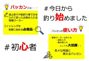 【初心者におすすめ】【送料無料】【始めてみたい方にぜひ】スーパーライブバッカン多収納耐久性抜群シンプル釣りグレー【EV-356】