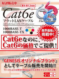 ★メール便送料無料★【フラットLANケーブル cat6e 10m】当日発送 1年製品保証 業務用 企業様向け 1.3mm厚 カテゴリ6e カーペット 赤 青 白 黒 黄 ストレート ランケーブル RJ-45 おすすめ カテゴリ サーバー