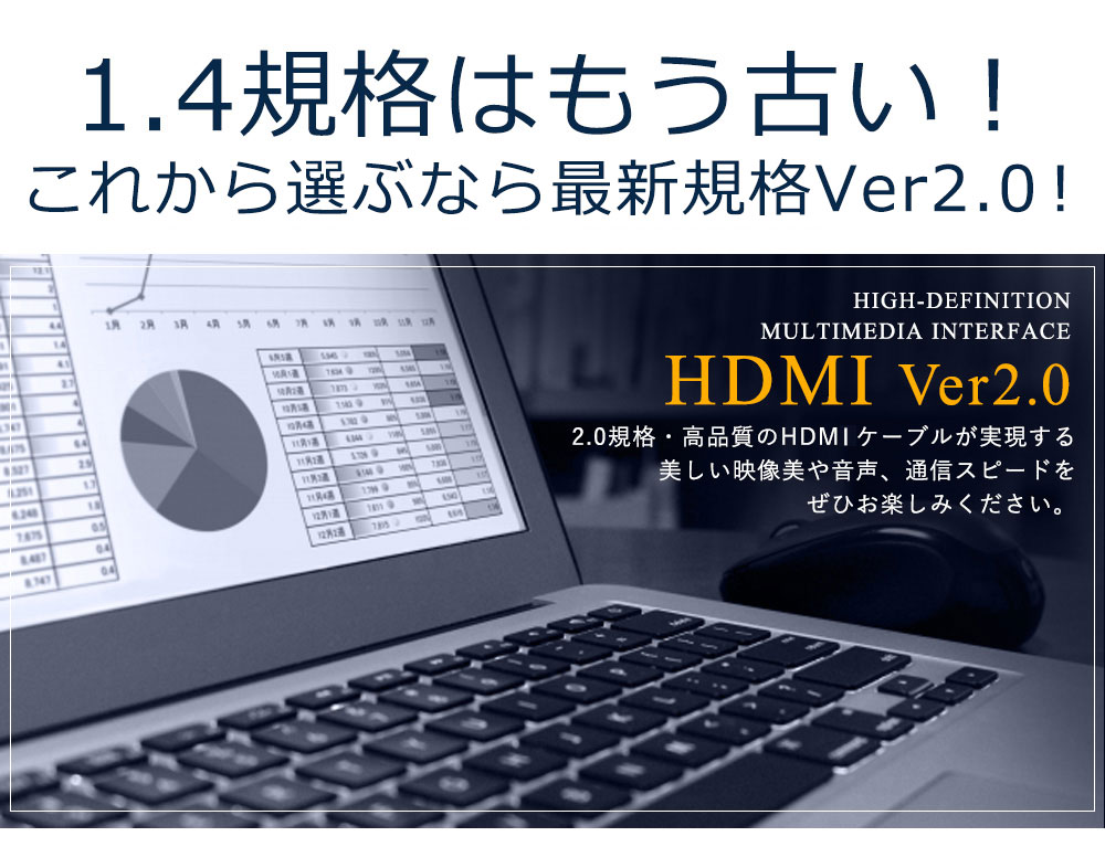 HDMIケーブル 10m GSPOWER 2.0規格 4K 3D 10.0m 1000cm Ver.2.0 ARC対応 ハイスペック ハイスピード 19+1 業務用 企業用 ゲーム レグザリンク ビエラリンク フルハイビジョン 金メッキ 3