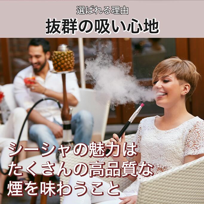 【GSPOWER シーシャ 本体 BatType スターターセット】水たばこ アウトドア ビーチ キャンプ フレーバー 持ち運び Hookah shisha 家シーシャ お出かけ おしゃれ 爆煙 ナルギレ 3