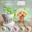 【名入れ・オリジナル写真での作製無料】メモリアルプレート&鉢植えセット 愛犬 ペット メモリアル グッズ 思い出 記念品 写真プレート オーダーメイド 遺影 供...
