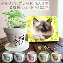 【名入れ・オリジナル写真での作製無料】メモリアルプレート&鉢植えセット 愛猫 ネコ ねこ ペット メモリアル グッズ 思い出 記念品 写真プレート オーダーメイ...