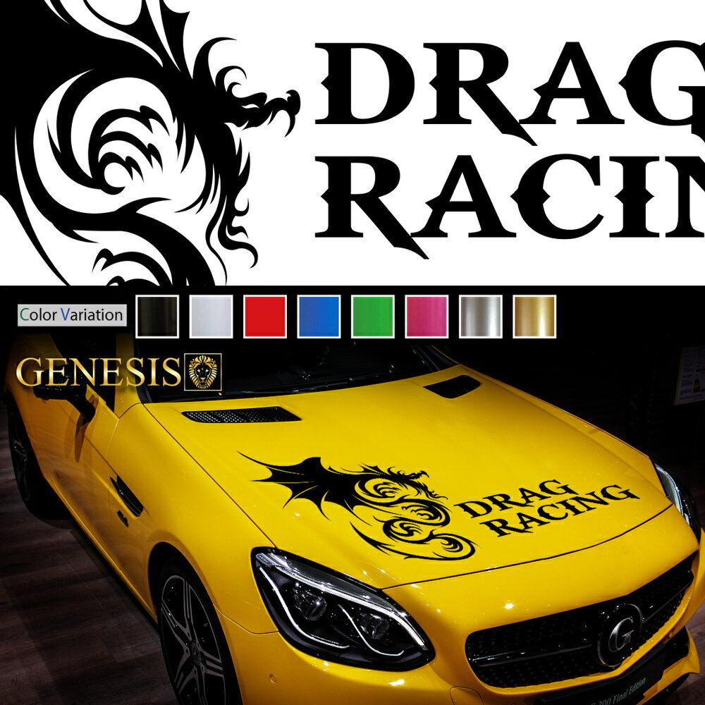 【マラソンP20倍】 車 ステッカー かっこいい デカール ボンネット カッティング スポーティ レーシング カスタム ライン フロント 大きい カーステッカー バイナルグラフィック ドレスアップ 送料無料 GENESIS 正規品 front11