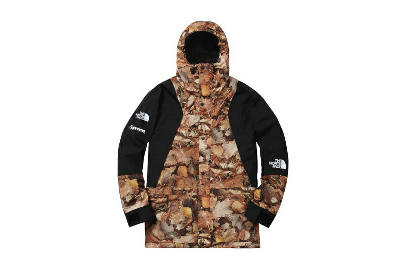 Supreme(シュプリーム)×The North Face(ノースフェイス)/Mountain Light Jacket[Leaves]16 aw メンズ マウンテンライトジャケット 2016 新古品【中古】