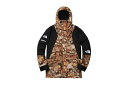 Supreme(Vv[)~The North Face(m[XtFCX)/Mountain Light Jacket[Leaves]16 aw Y }EeCgWPbg 2016 VÕiyÁz