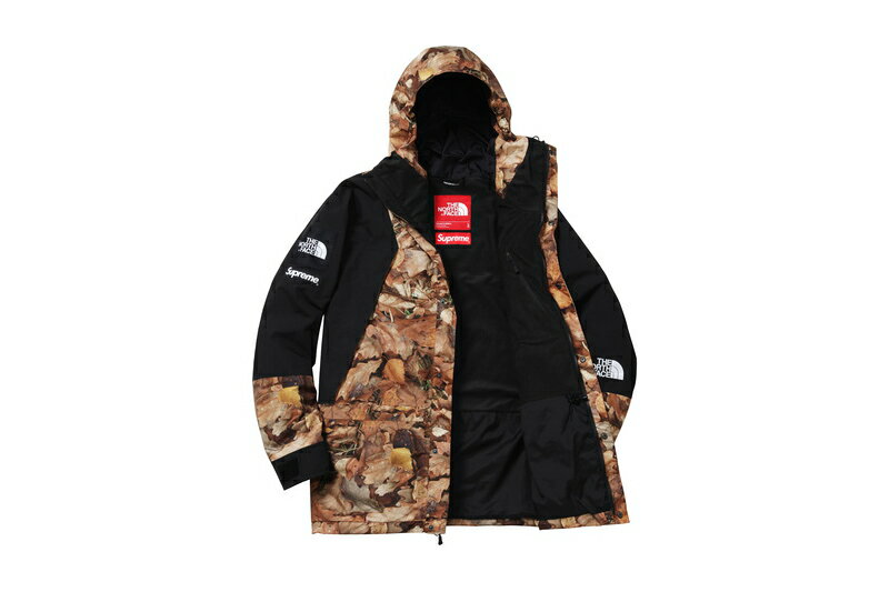 Supreme(シュプリーム)×The North Face(ノースフェイス)/Mountain Light Jacket[Leaves]16 aw メンズ マウンテンライトジャケット 2016 新古品【中古】