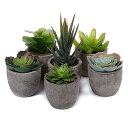 T4U 人工観葉植物 造花 フェイクグリーン お世話のいらない 癒しのグリーン インテリア プレゼント プラスチック製 6点セット