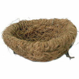 小鳥のハウス ココナッツ皿巣