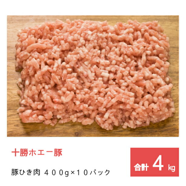 【ふるさと納税】【先行予約】茨城県ブランド豚切り落とし4.5kg (300g×15p)（EC-5）