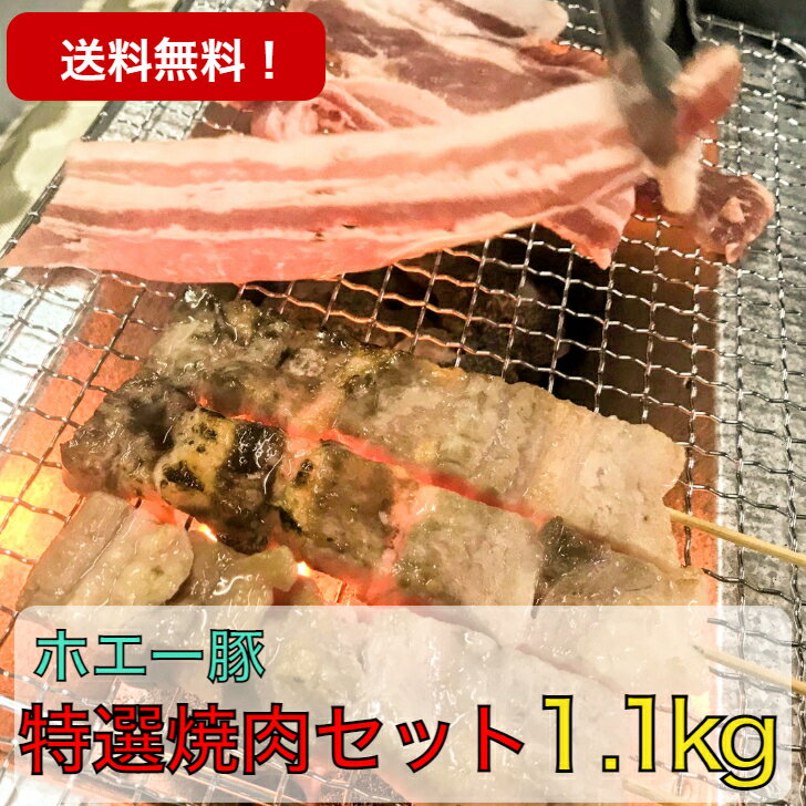 【ふるさと納税】都城産「きなこ豚」詰め合わせセット - ブランド豚 柔らかい豚肉 豚バラ焼肉用/豚ロース生姜焼き/豚肩ロース焼き肉/ウデ・モモ小間切れ/モモミンチ/ハンバーグ 送料無料 MA-1206【宮崎県都城市は令和4年度ふるさと納税日本一！】