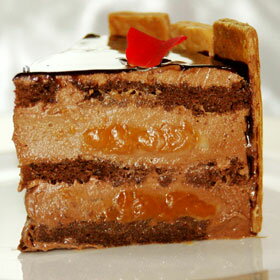 ��17cm ���祳�ࡼ�� �Υ��������ץ�󥻥� ���祳�� �� �� �� �������С����ǡ������� �ۡ��륱���� ������ �ڳڥ���_������