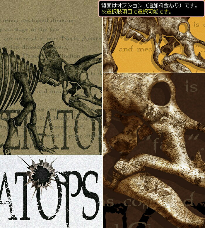 GENJU ��εT����� ���å� 21�ղ� ��ε ������ T����� t����� �ȥꥱ��ȥץ� ��ε�� skull �Ҷ��� KIDS ���ᥫ�� ��100�� Ⱦµ �֥��� Triceratops �֥�å� �ۥ磻�� ������ �֥饦�� �������� 90 100 110 120 130 140 90-140cm