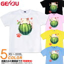 GENJU ねこ スイカ 肉球 メンズ レディース 猫 海 夏Tシャツ 癒し かわいい 足跡 tシャツ 半袖 長袖 ロンT ねことスイカ 春 秋 夏 冬 大きめサイズあり XXL XXXL 2L 3L 4L 90-140cm XS-XXXL