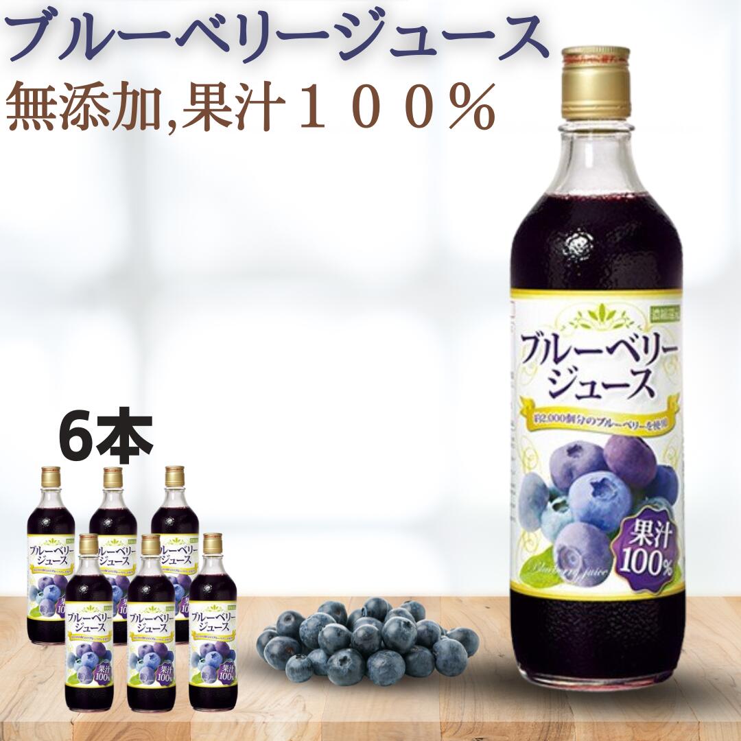 【39ショップ買いまわりイベント限定！最大8％OFFクーポン配布中】【野田ハニー公式】お得まとめ割！ブルーベリー100%ジュース＜濃縮還元＞ 720ml×6本 ブルーベリージュース ストレートジュース 果汁100％