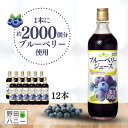 ブルーベリー100%ジュース 720ml×12本 送料無料 濃縮還元 果汁100％ アントシアニン ポリフェノール ブルーベリージュース ブルーベリージュース100% 野田ハニー 無添加 砂糖不使用