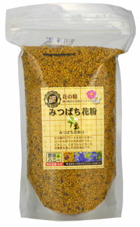 みつばち花粉　800g　エナジー補給 健康食品 美容 スーパーフード みつばち花粉（ビーポーレン）バ ...