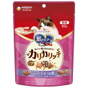 ユニ・チャーム 銀のスプーン おいしい顔が見られるおやつ カリカリッチ シーフードかつお節入り 60g×30個セット「宅配便送料無料(A)」