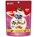 ユニ・チャーム 銀のスプーン おいしい顔が見られるおやつ カリカリッチ チキン&チーズ 60g×30個セット「宅配便送料無料(A)」