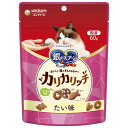 ユニ・チャーム 銀のスプーン おいしい顔がみられるおやつ カリカリッチ たい味 60g×30個セット「宅配便送料無料(A)」