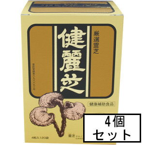 AJD 健麗芝 4粒×120袋×4個セット「宅配便送料無料(A)」