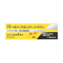 【第(2)類医薬品】AJD 中外医薬生産 エバージエルV軟膏 25g(痔治療薬)「メール便送料無料(A)」