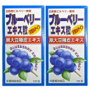 AJD 健美舎 ブルーベリーエキス粒インルテインα 120粒×2個セット「宅配便送料無料(B)」